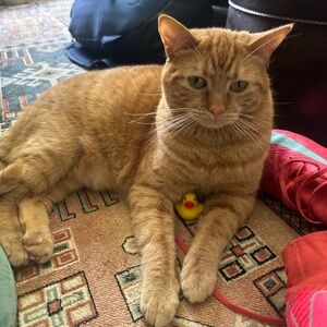 Meet your Posher, Kylie